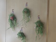 -桃花江餐厅·江景-约会·聚会