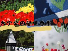 -大宁公园