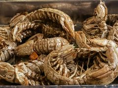 椒盐皮皮虾-胶东海鲜大排档(北太平庄店)
