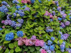 -沈阳植物园