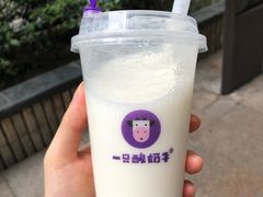 -一只酸奶牛(八一路店)