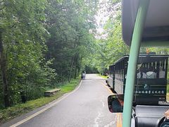 -五营红松林海景区