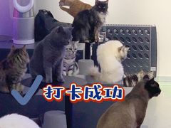 -极木²邸 人与宠物·互动社区