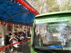 -合肥滨湖国家森林公园