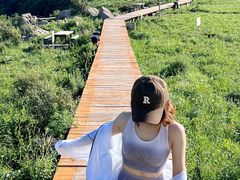 -白草畔自然风景区