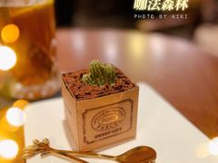 -咖法森林·咖啡  酒吧(天河店)