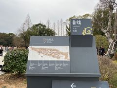 -鲁镇