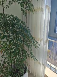-HEYAN荷妍专业脱毛连锁机构