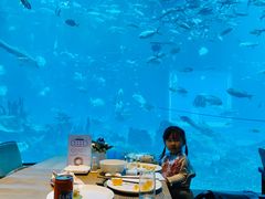 -海棠湾洲际-涛·海底餐厅·美人鱼·自助餐·海底隧道