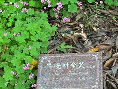 -杭州植物园