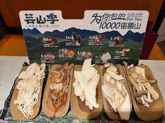 -芸山季·云南山珍菌火锅(人民广场来福士店)