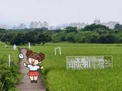 -风云岭森林公园
