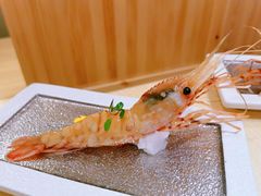 牡丹虾-清水日本料理铁板烧(学府路店)