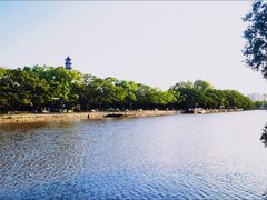 -江心屿景区