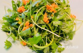 Sea Urchin with Celery Sprouts
