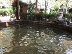 -西安国际创新人才交流中心•药浴温泉