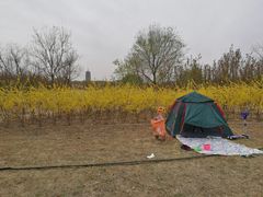 -永定河休闲森林公园