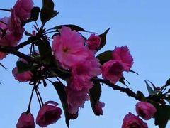 -幕燕滨江·长江观音景区