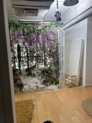 点击看大图 -韩国童感TOUCH PHOTO儿童摄影(朝阳分店)
