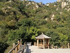 -大岭沟猕猴桃谷风景区