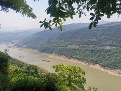 -铁山坪森林公园