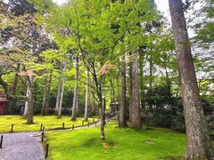 -三千院