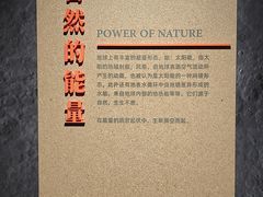 -四川大学博物馆