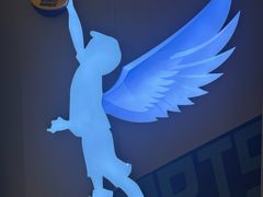 -翼速篮球·儿童体适能·中考体育(鲁能城店)