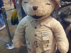 -济州岛泰迪熊博物馆