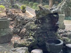 -海口火山口国家地质公园