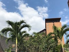 -三亚湾红树林度假世界(木棉酒店)