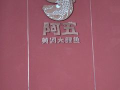 -阿五黄河大鲤鱼(英协路店)