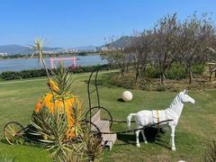 -福建鲤鱼洲酒店