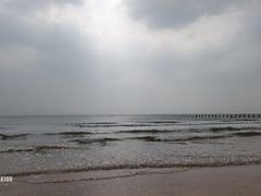 -日照海滨国家森林公园