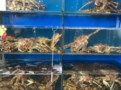 -蚝专家(北滘店)