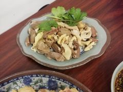 -九斤黄三黄鸡专卖店