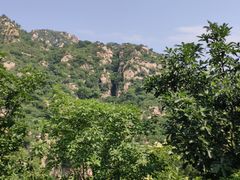 -大岭沟猕猴桃谷风景区