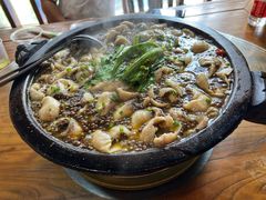 麻辣石锅鱼-都江堰石锅鱼