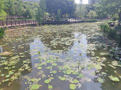 -沐仙湖湿地公园