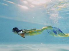 -上海潜殿潜水中心