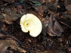 -终南山南五台景区