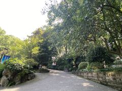 -忠山公园
