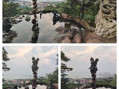 -信号山公园