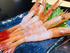 -鲤·鮨KOISUSHI