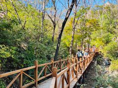 -大岭沟猕猴桃谷风景区