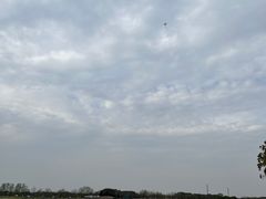 -嘉北郊野公园