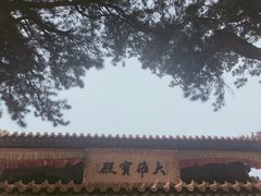 -和雅集素食(景区店)