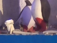 -郑州方特水上乐园