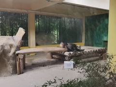 -杭州野生动物世界