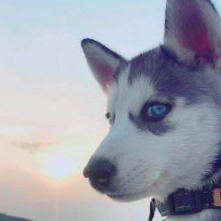 -松和日式美容整骨